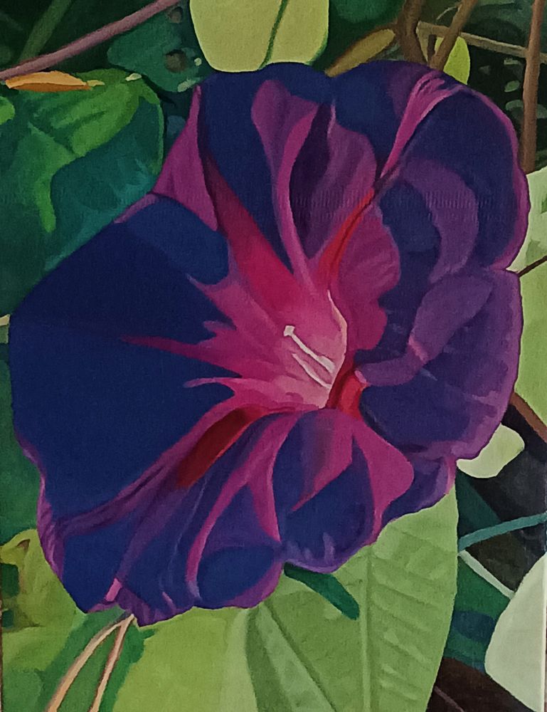 Effimero Splendore